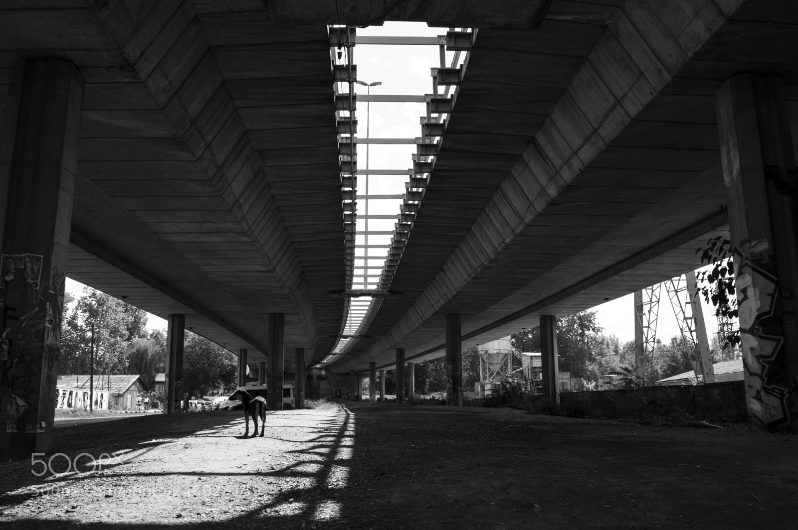 Nikon D3200 sample photo. Under the bridge photography