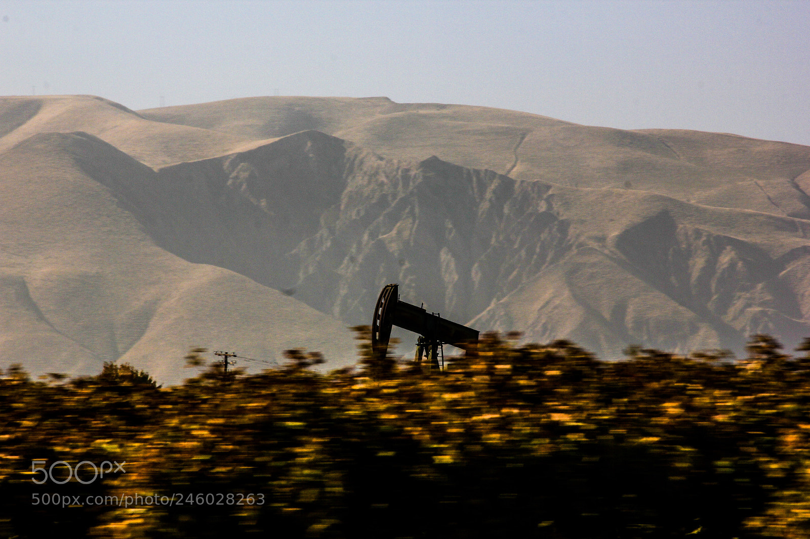 Canon EOS 550D (EOS Rebel T2i / EOS Kiss X4) sample photo. Near the grapevine, taken photography
