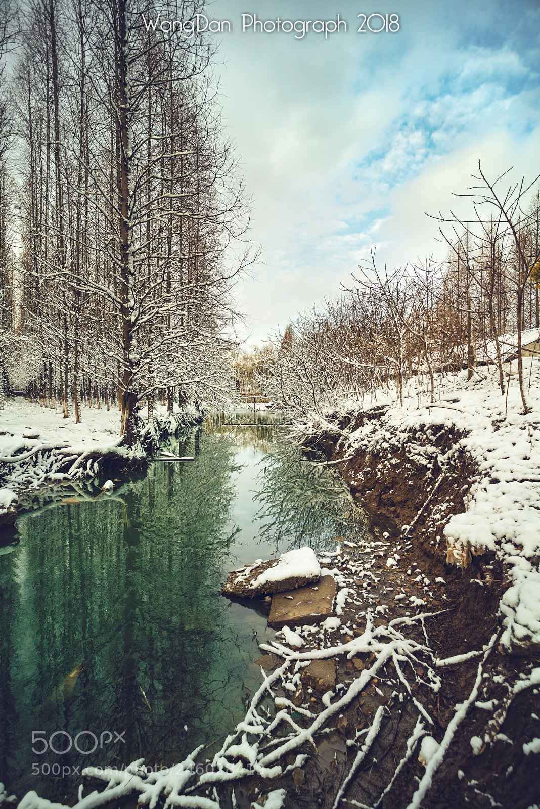 Nikon D810 sample photo. 雪 photography