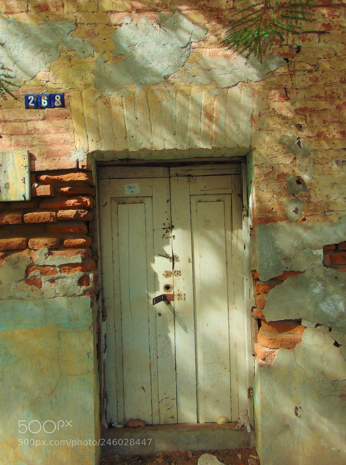 Sony Cyber-shot DSC-H300 sample photo. Old building photography