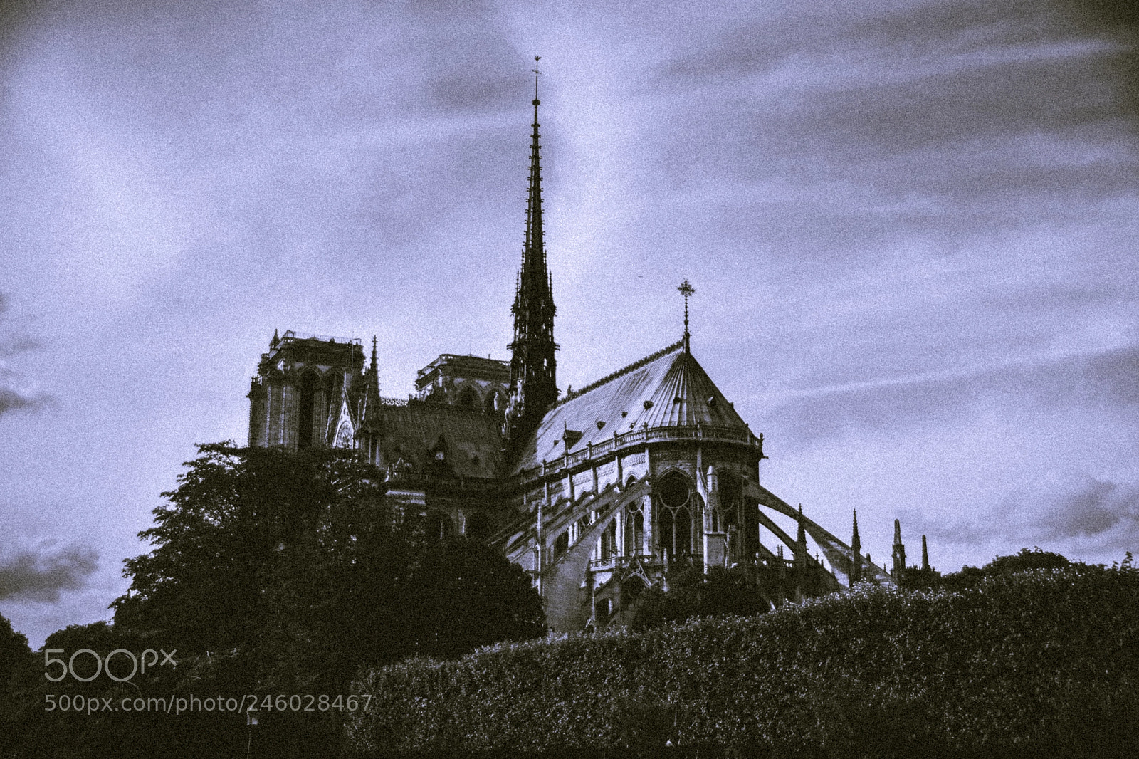 Nikon D7100 sample photo. Notre dame photography
