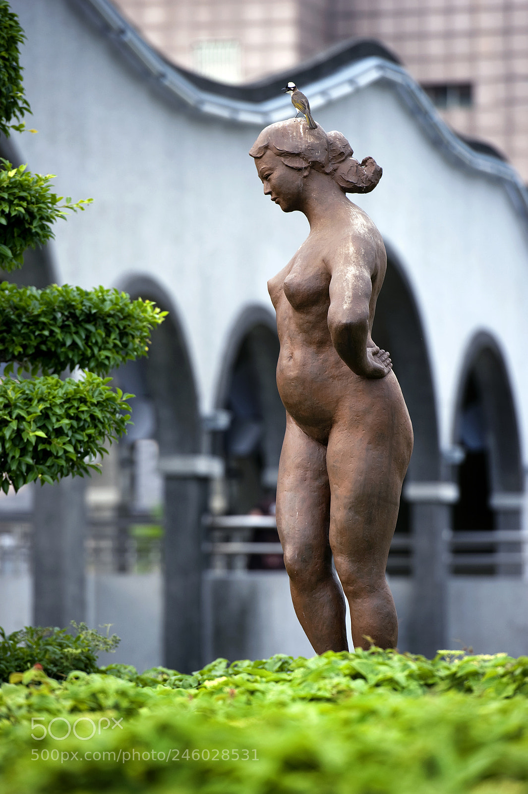 Nikon D700 sample photo. 豐樂雕塑公園, feng le sculpture park photography