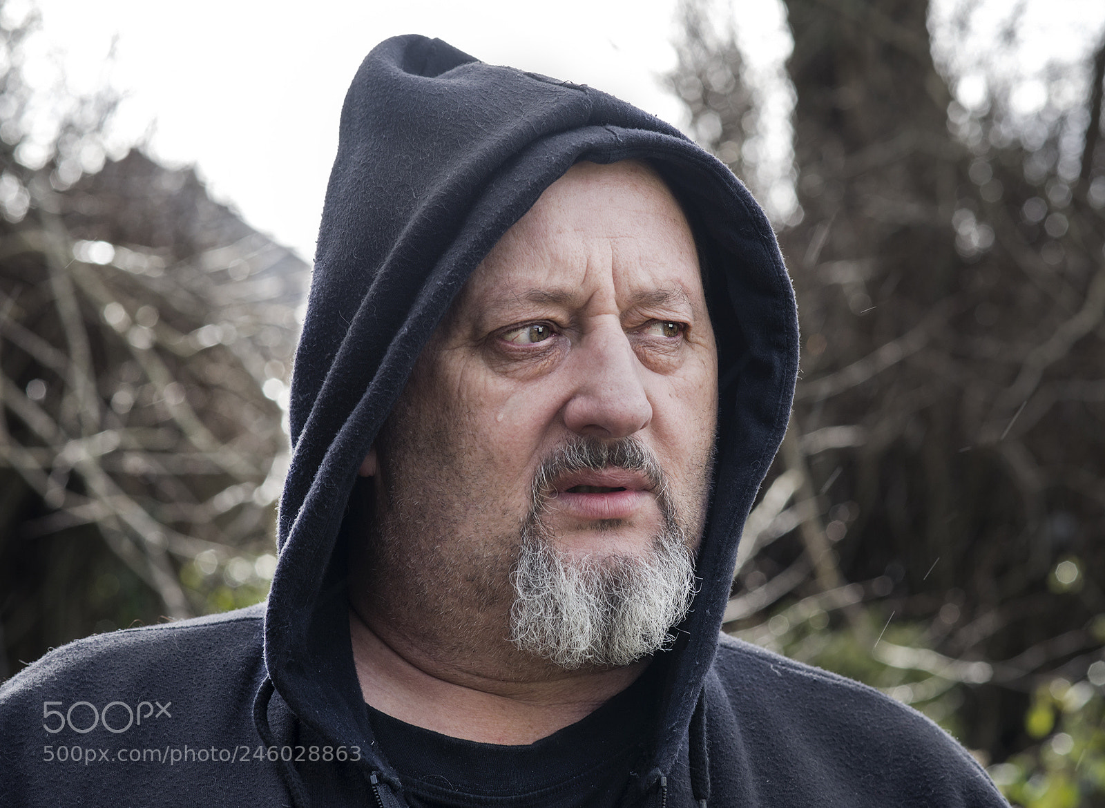 Nikon D800E sample photo. I am not the photography