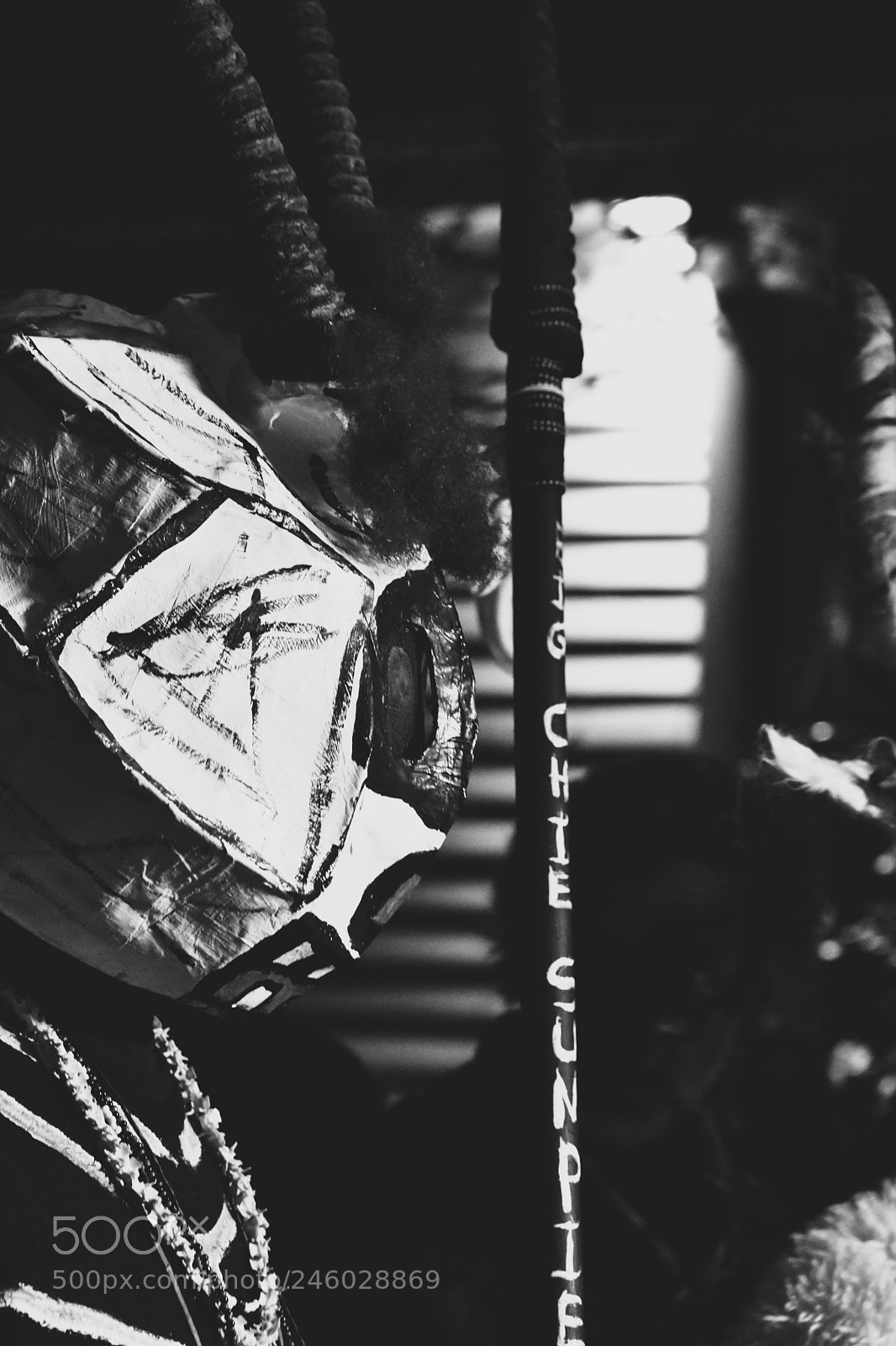 Nikon D3400 sample photo. Big chief sunpie photography