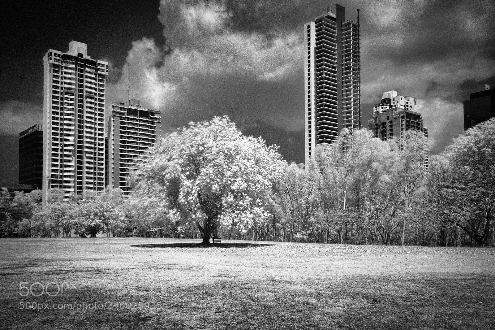Canon EOS 5DS R sample photo. Costa del este, panama photography
