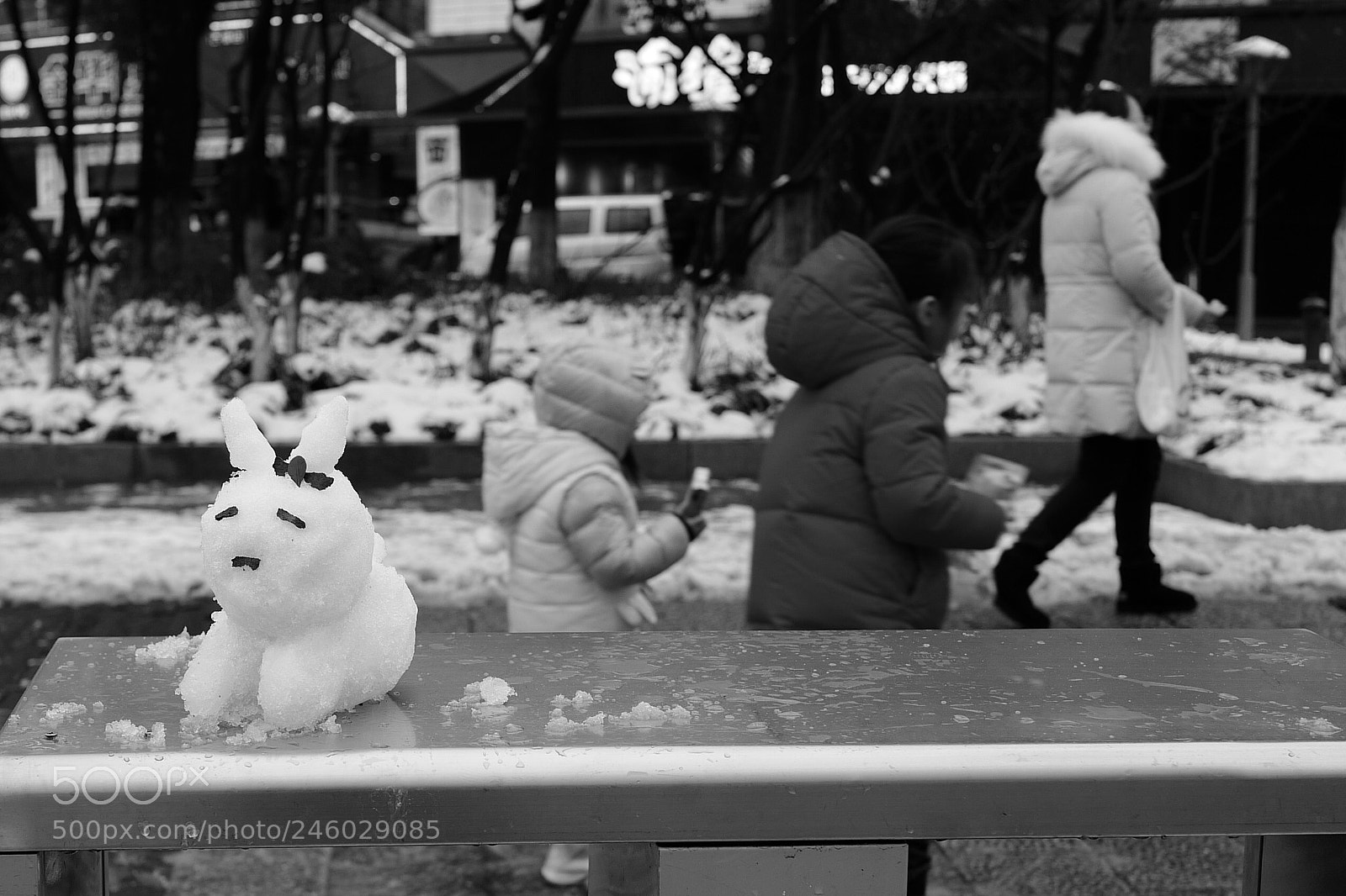 Leica Q (Typ 116) sample photo. Signal photography