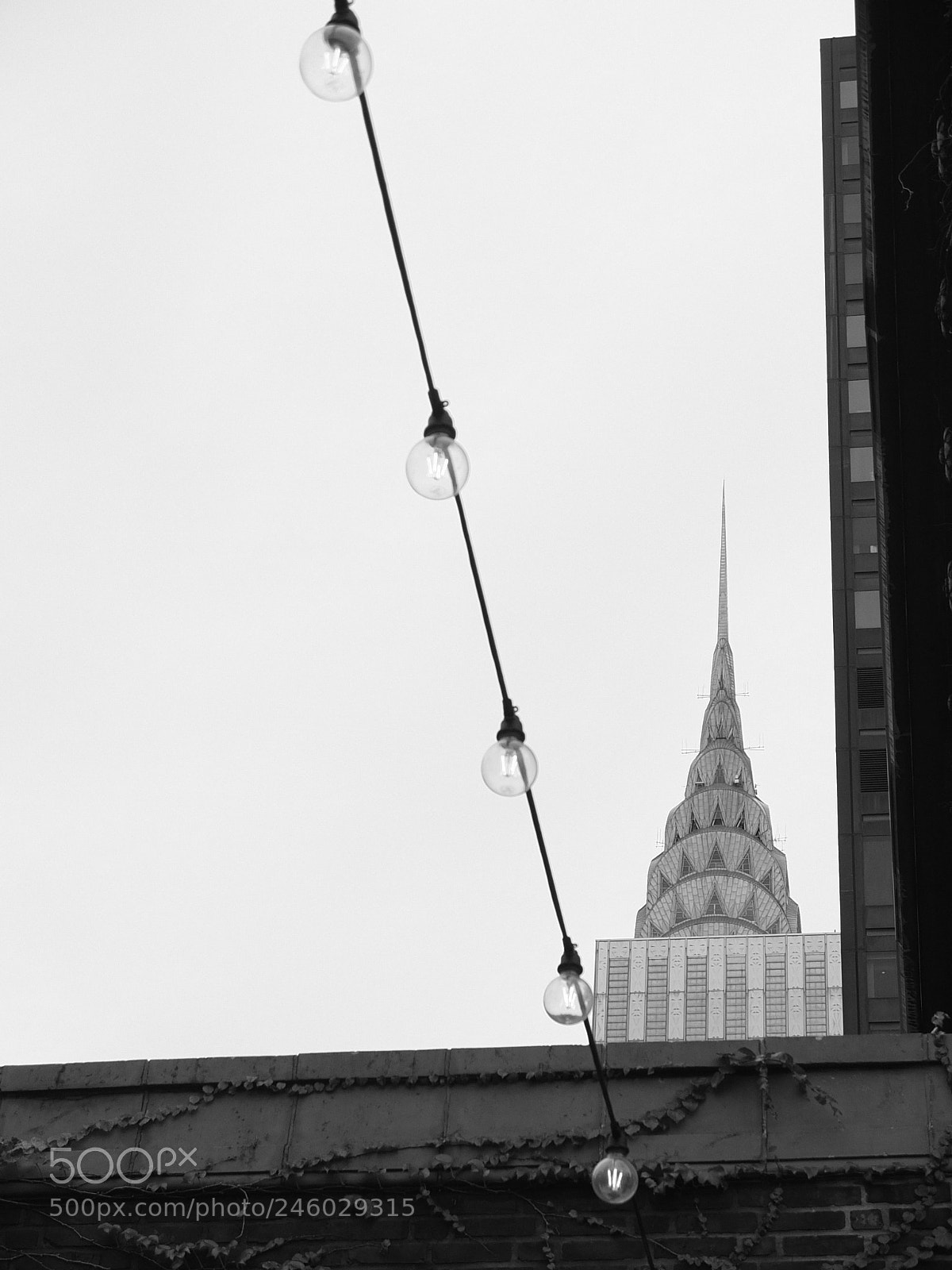 Fujifilm X10 sample photo. Balancing on the wire photography