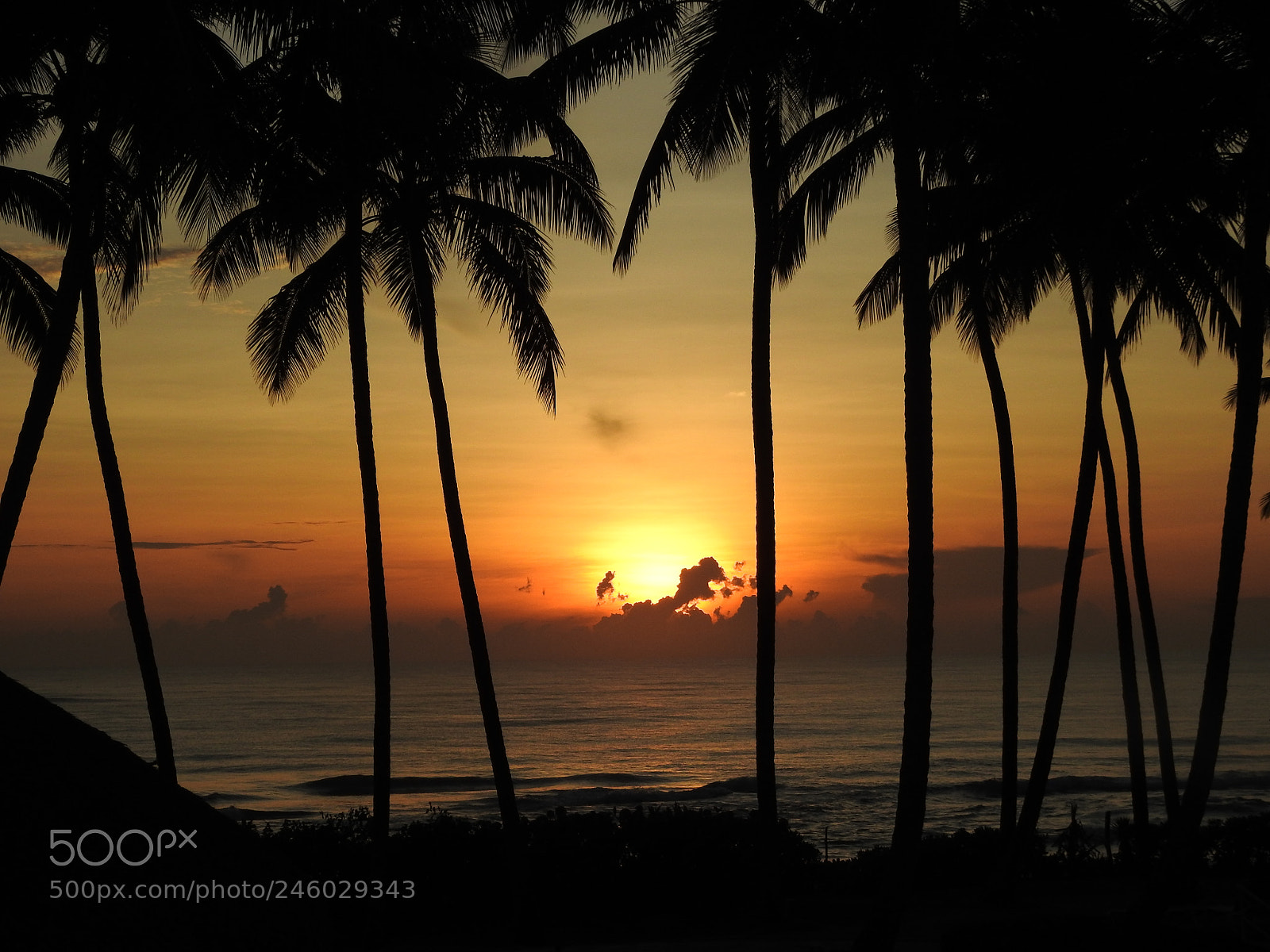 Nikon Coolpix P900 sample photo. Sunrise, cabarete, dominican republic photography