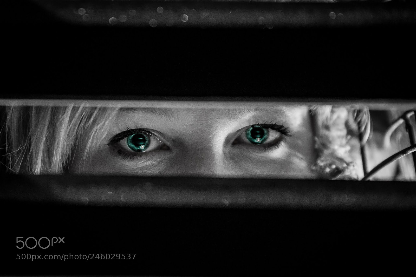 Sony SLT-A99V sample photo. Blue eyes photography