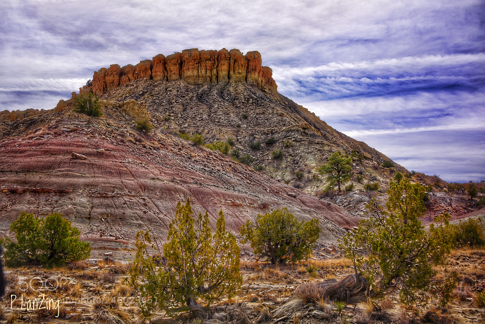 Nikon D810 sample photo. Colors of the ojito photography