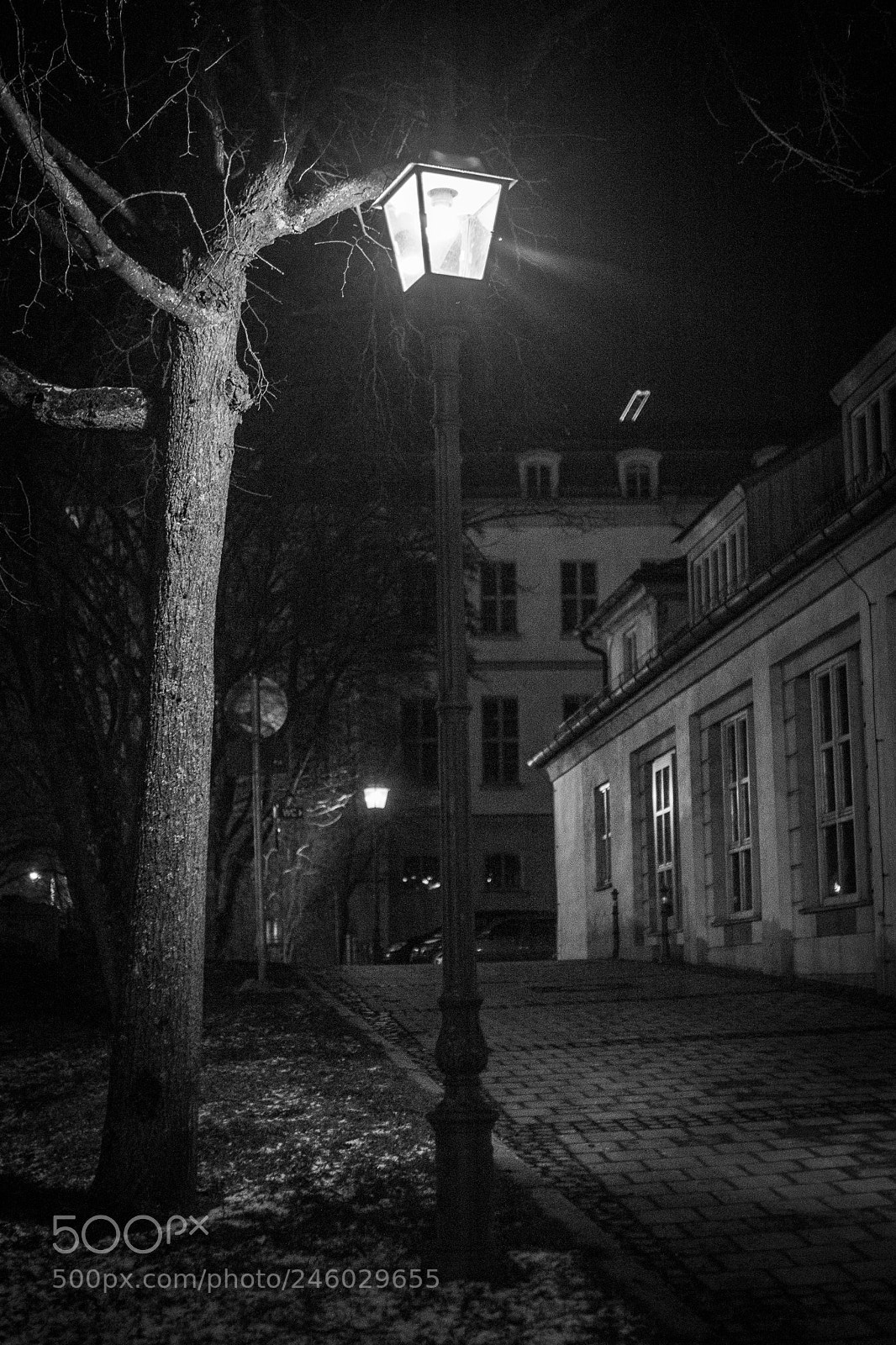Canon EOS 7D Mark II sample photo. Something in the dark photography