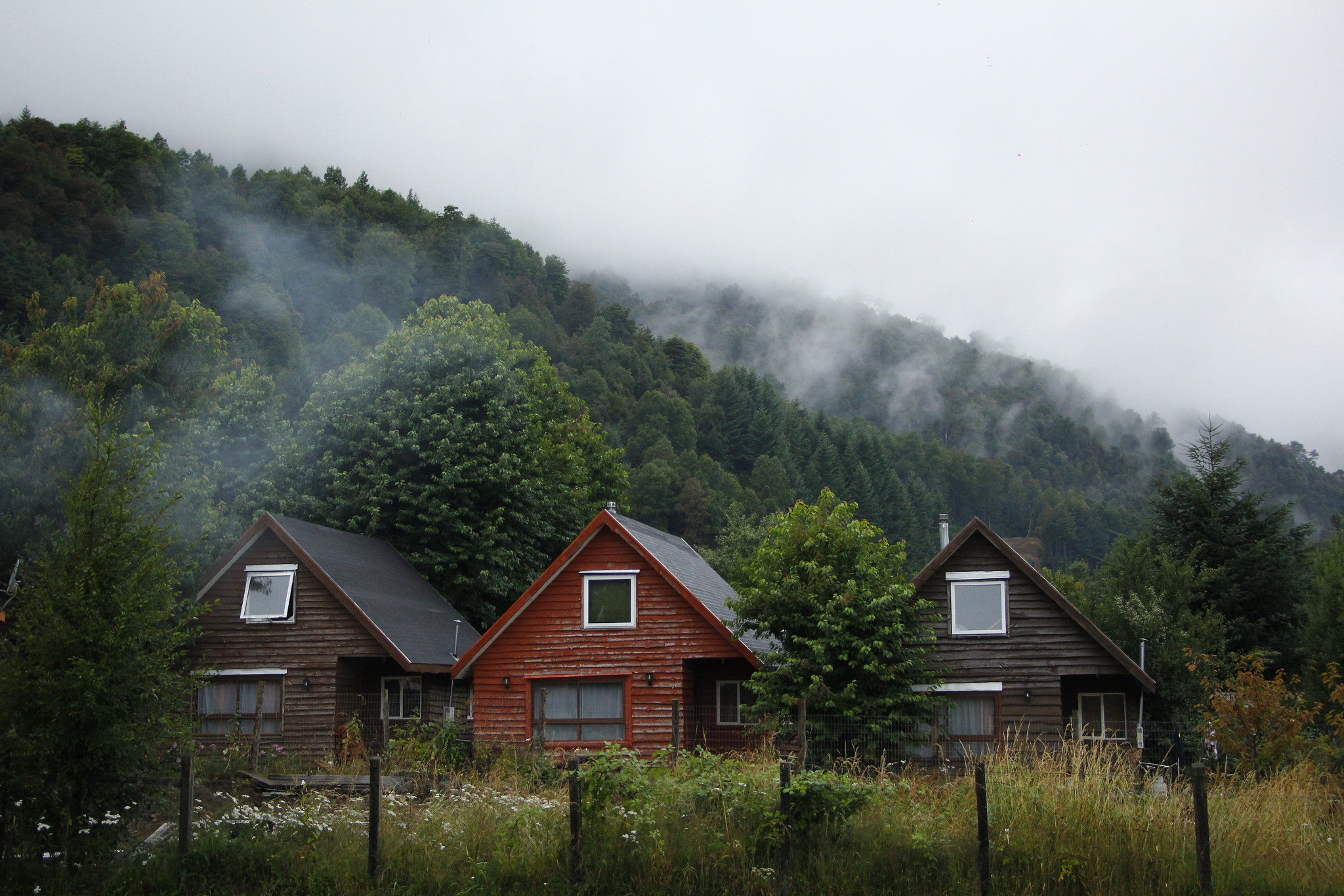 Canon EOS 60D sample photo. Huilo huilo photography