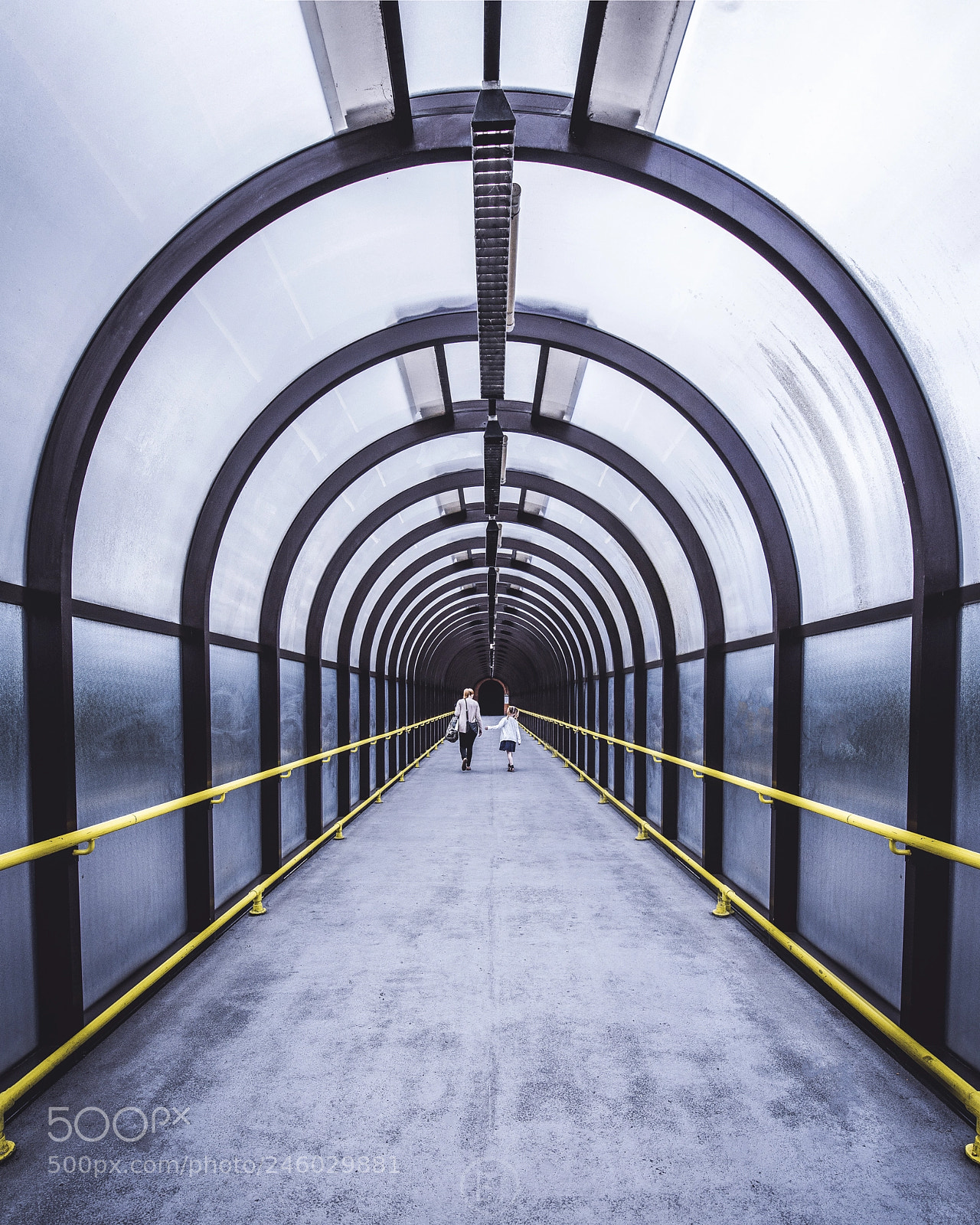 Nikon D800 sample photo. Into the abyss photography