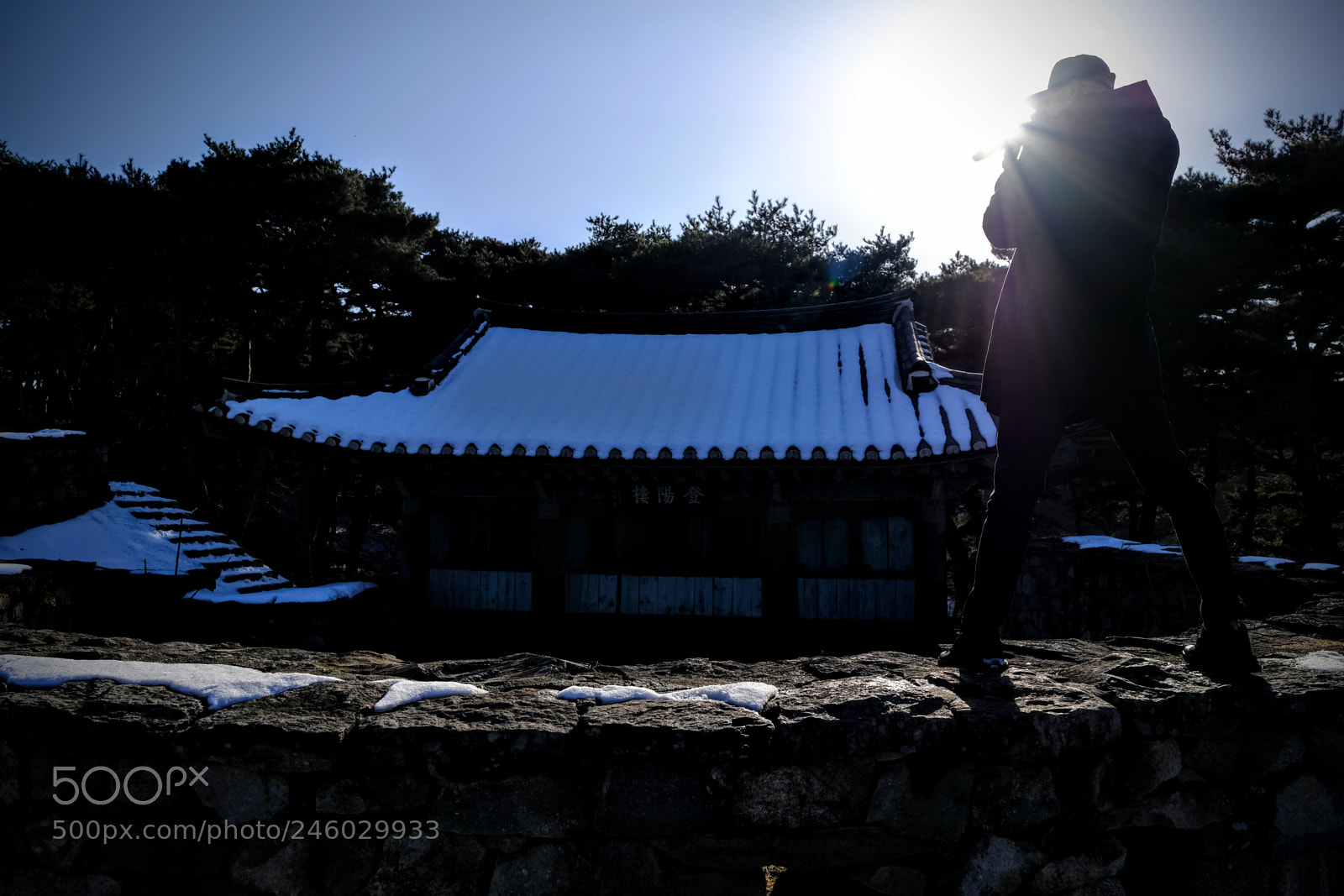 Fujifilm X-T20 sample photo. Untitled photography