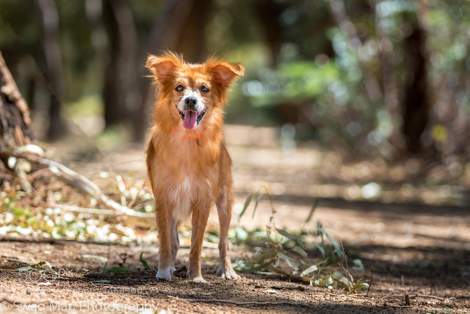 Canon EOS 7D Mark II sample photo. Mischief in the park photography