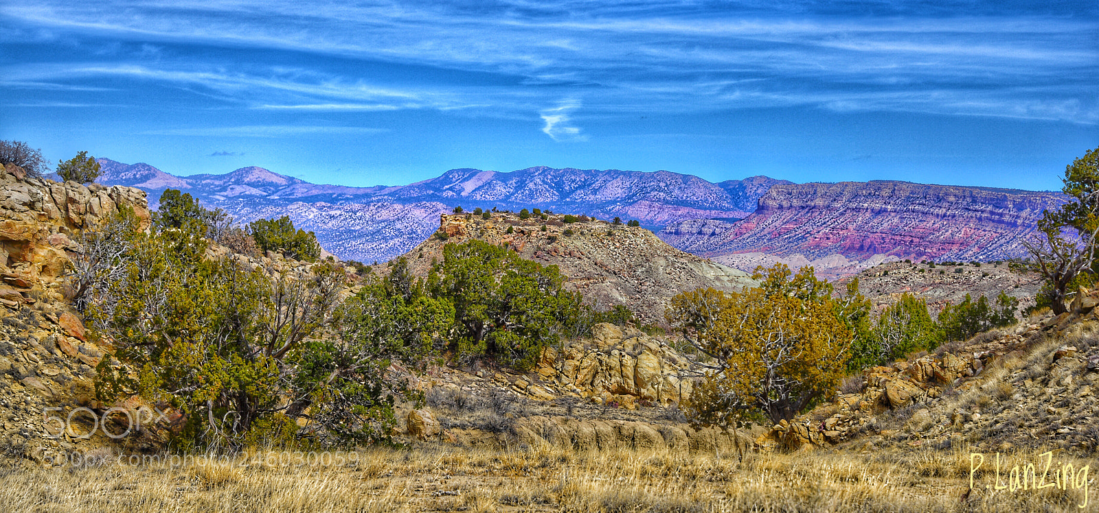 Nikon D810 sample photo. Colors of ojito wilderness photography