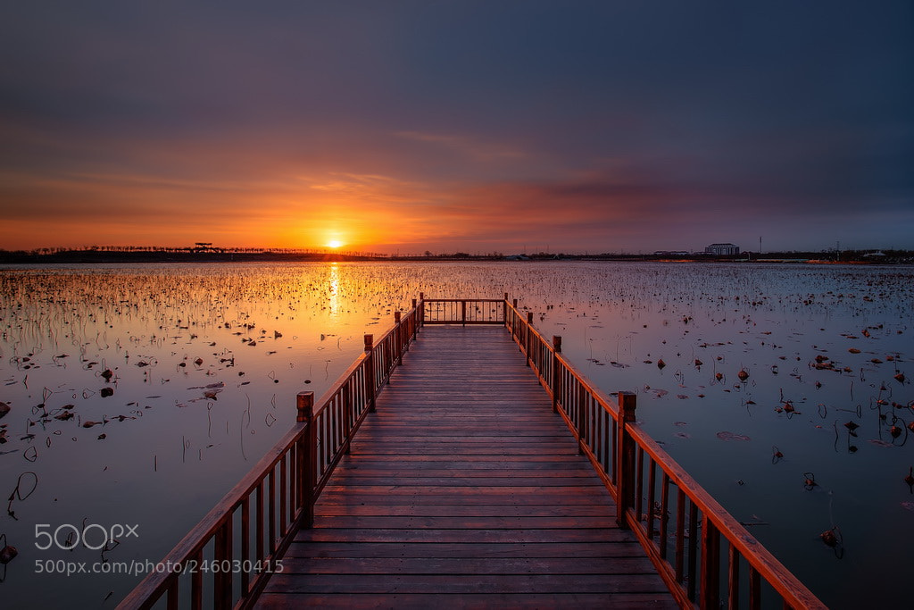 Canon EOS 6D Mark II sample photo. The rising sun photography