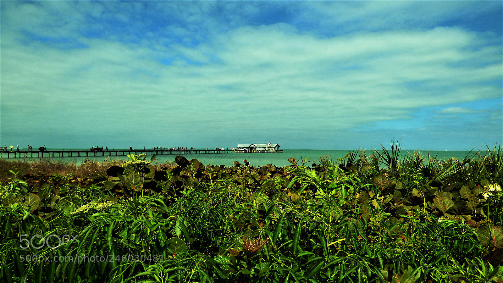 Panasonic Lumix DMC-FZ70 sample photo. Anna  maria pier photography
