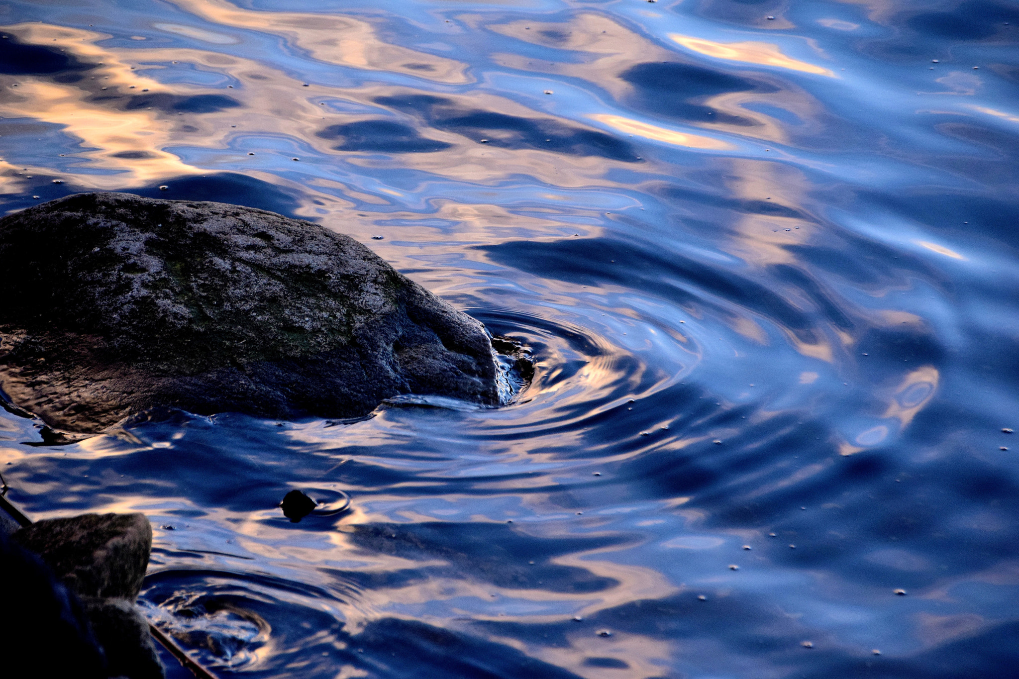 Sigma 18-250mm F3.5-6.3 DC Macro OS HSM sample photo. Sapphire interlude photography