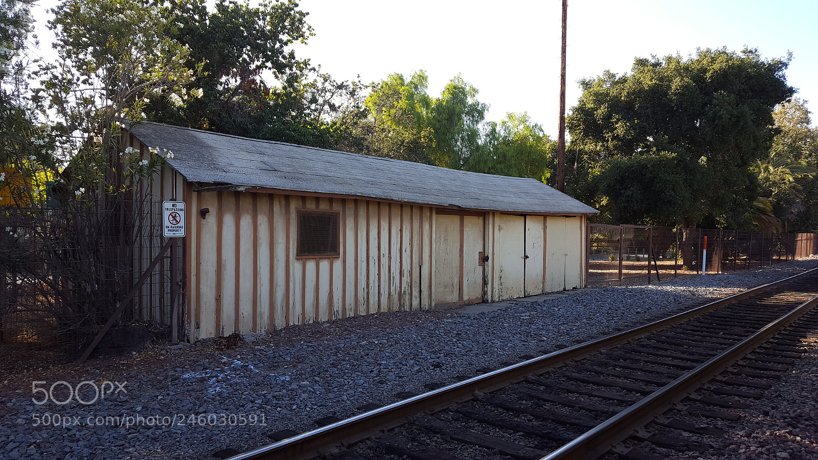 Samsung GALAXY S6 edge sample photo. Untitled photography