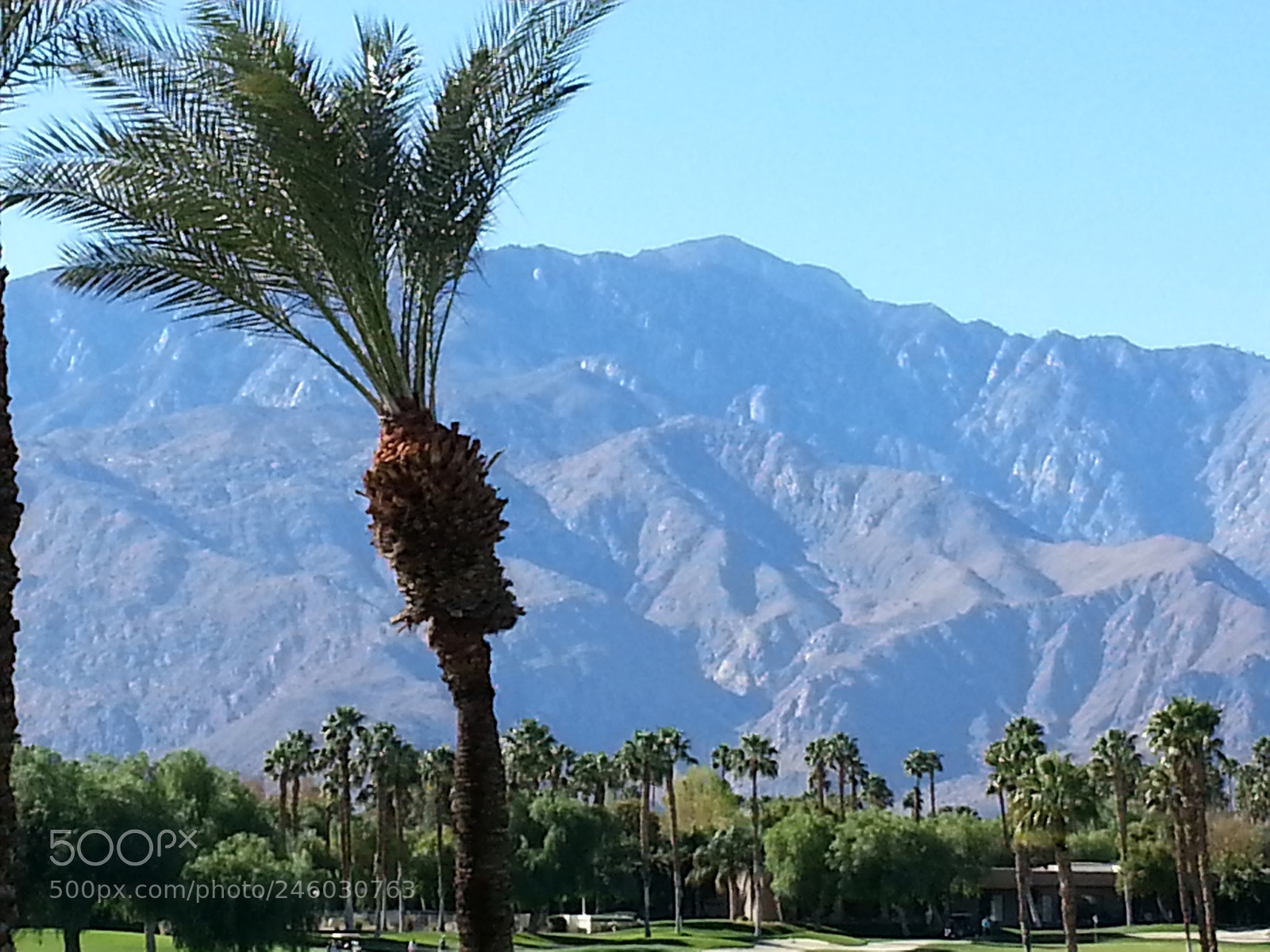 Samsung Galaxy S3 sample photo. Mountains and palms photography