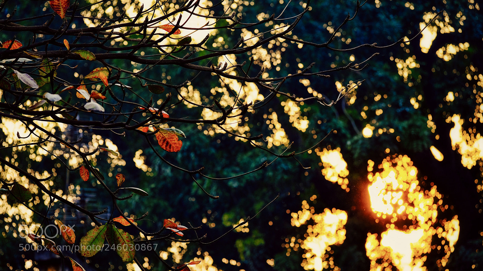Fujifilm X-T20 sample photo. Untitled photography