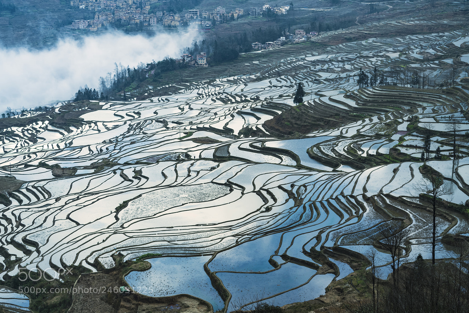 Sony a7R II sample photo. Blue terraces photography