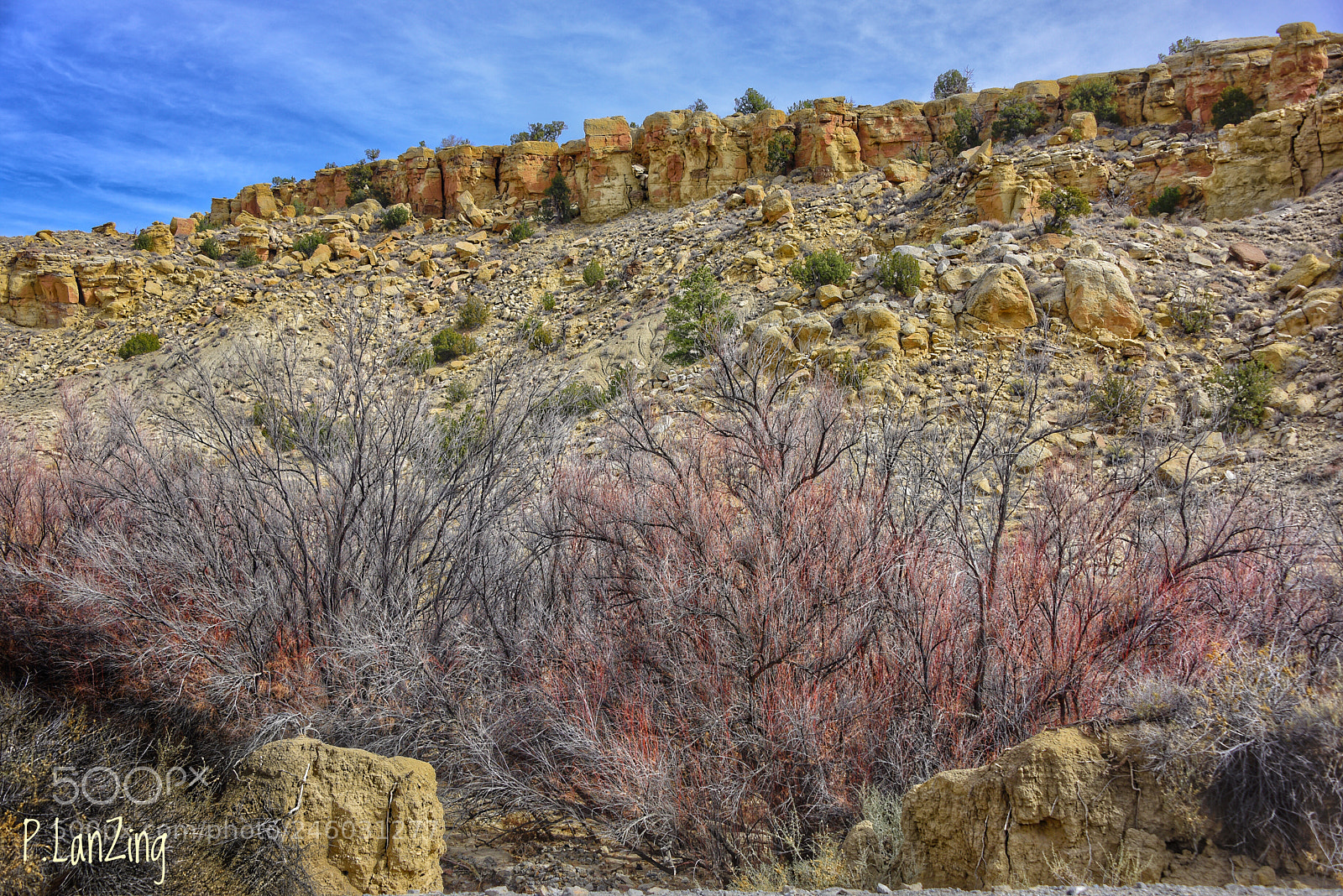 Nikon D810 sample photo. Ojito colors photography
