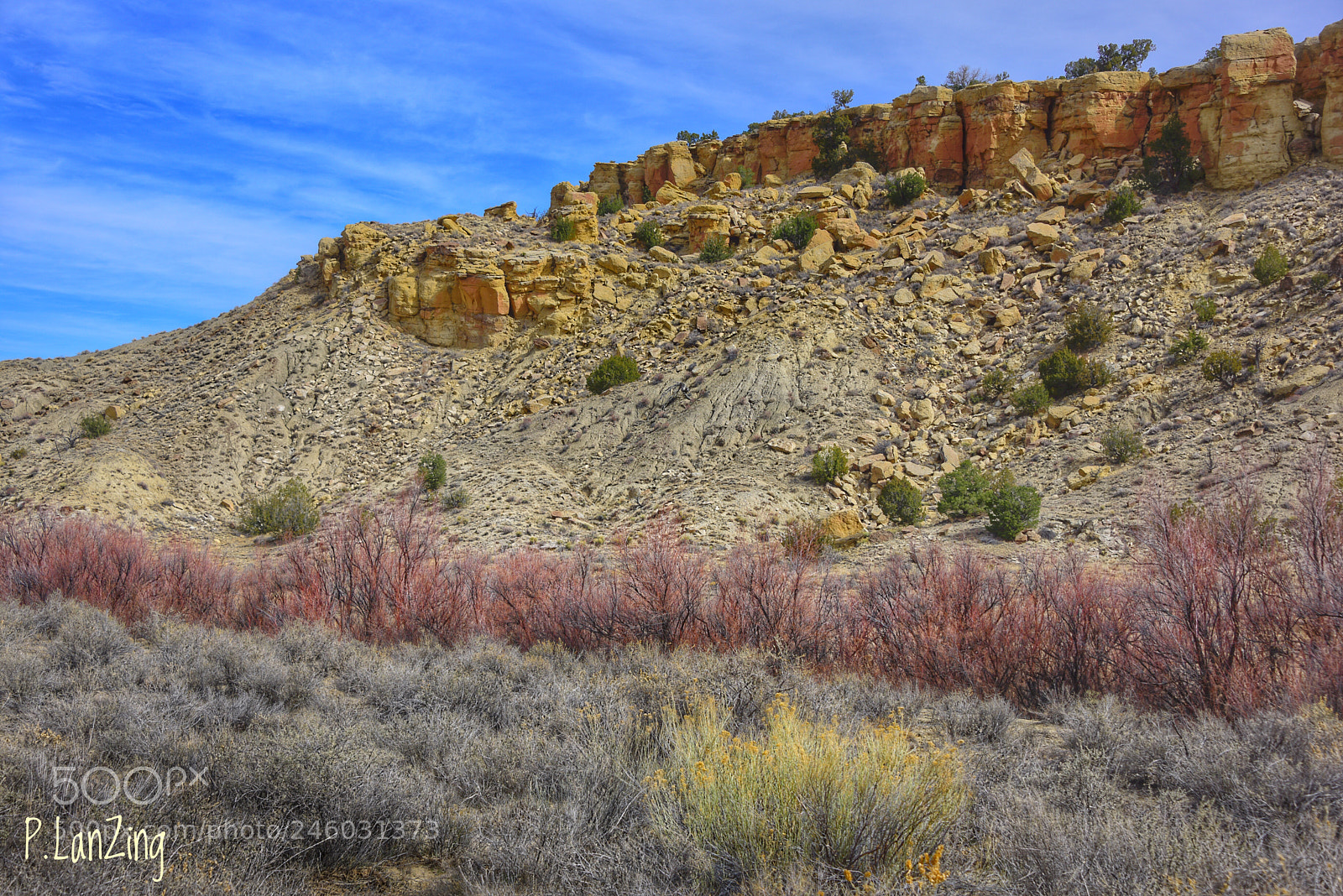 Nikon D810 sample photo. Ojito wilderness photography