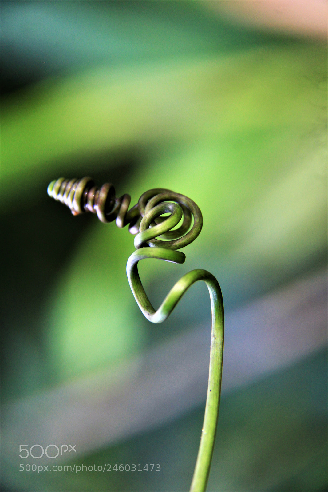 Canon EOS 60D sample photo. Untitled photography