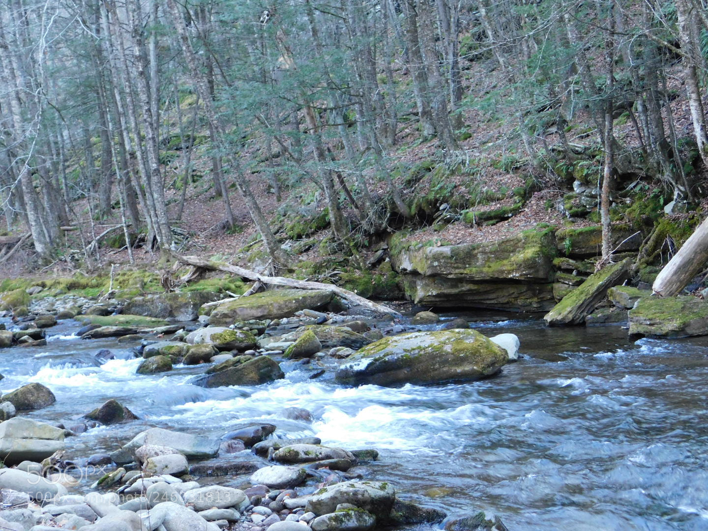 Nikon Coolpix B500 sample photo. Sundown creek photography