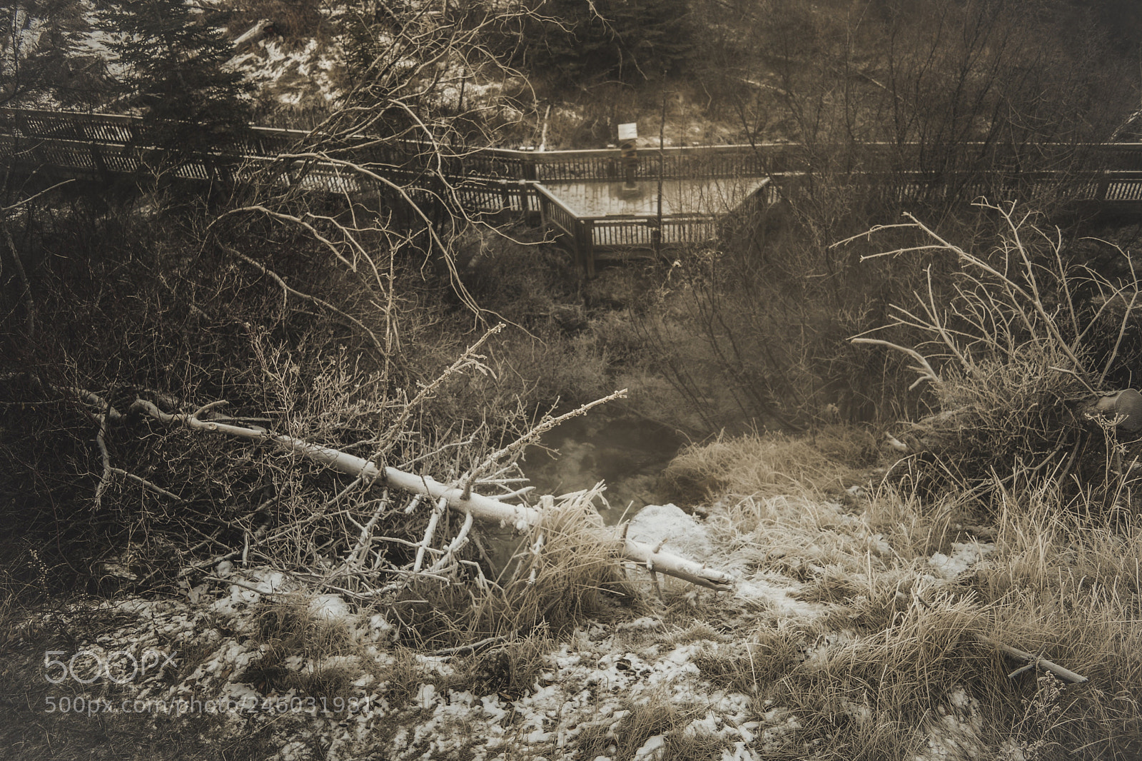 Nikon D600 sample photo. Like for vintage edit photography