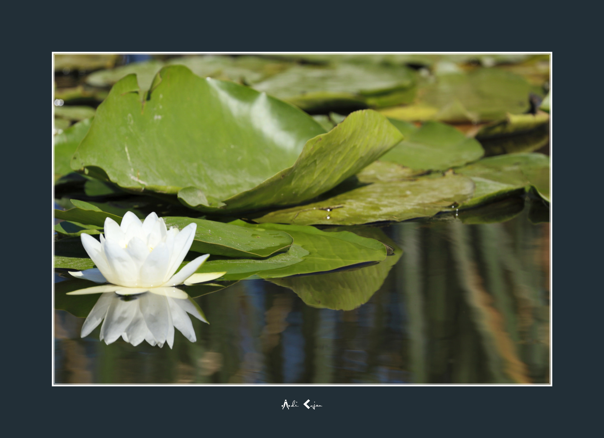 Canon EOS M5 sample photo