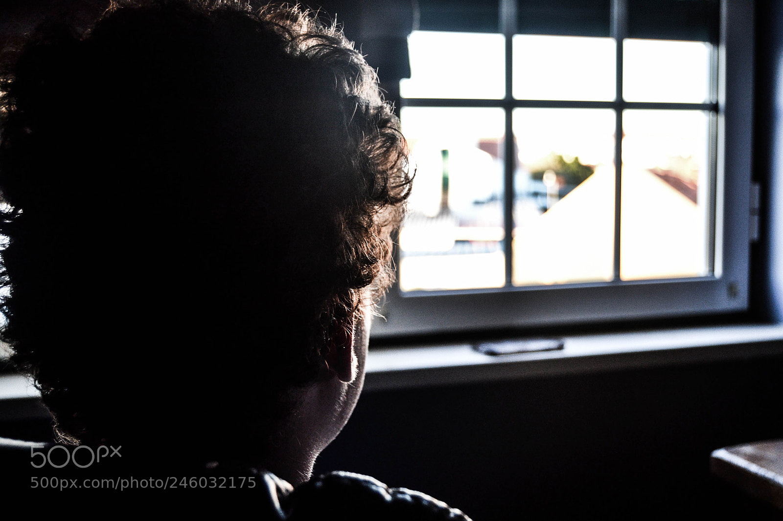 Nikon D3100 sample photo. Looking at the window photography