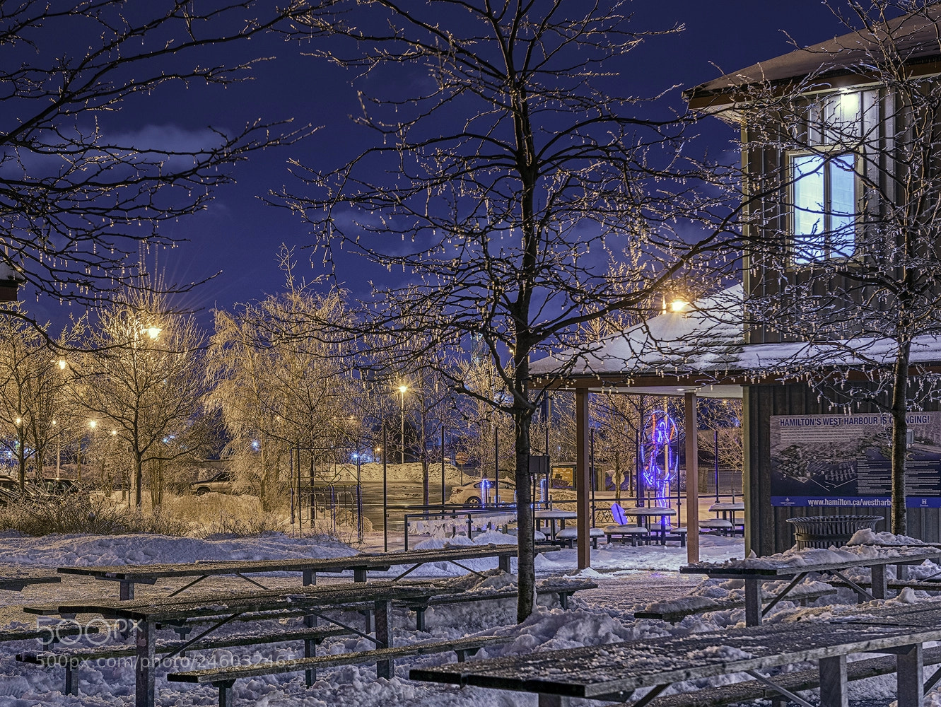 Nikon D810 sample photo. Freezing photography
