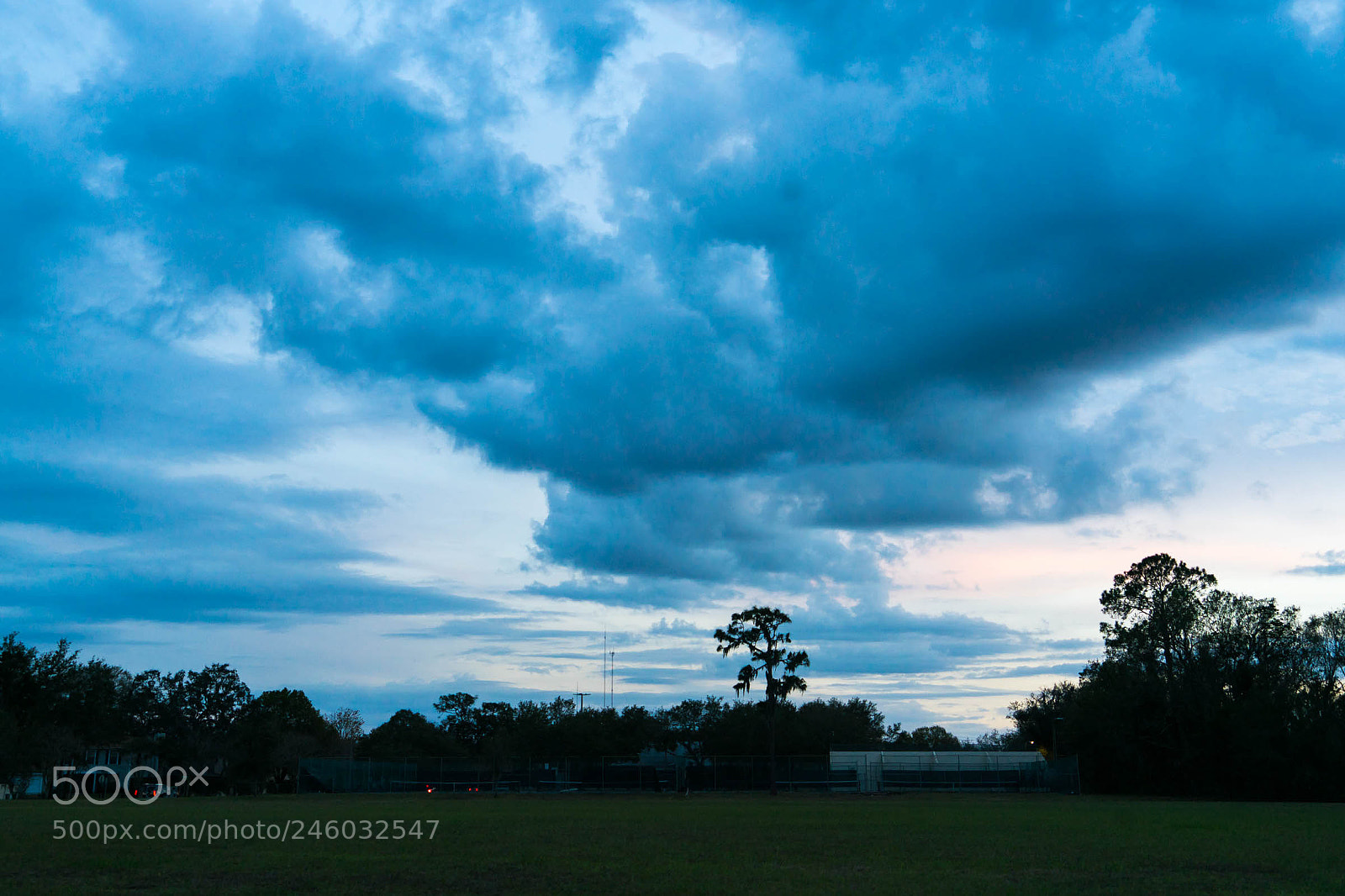 Sony a7 II sample photo. Dsc photography
