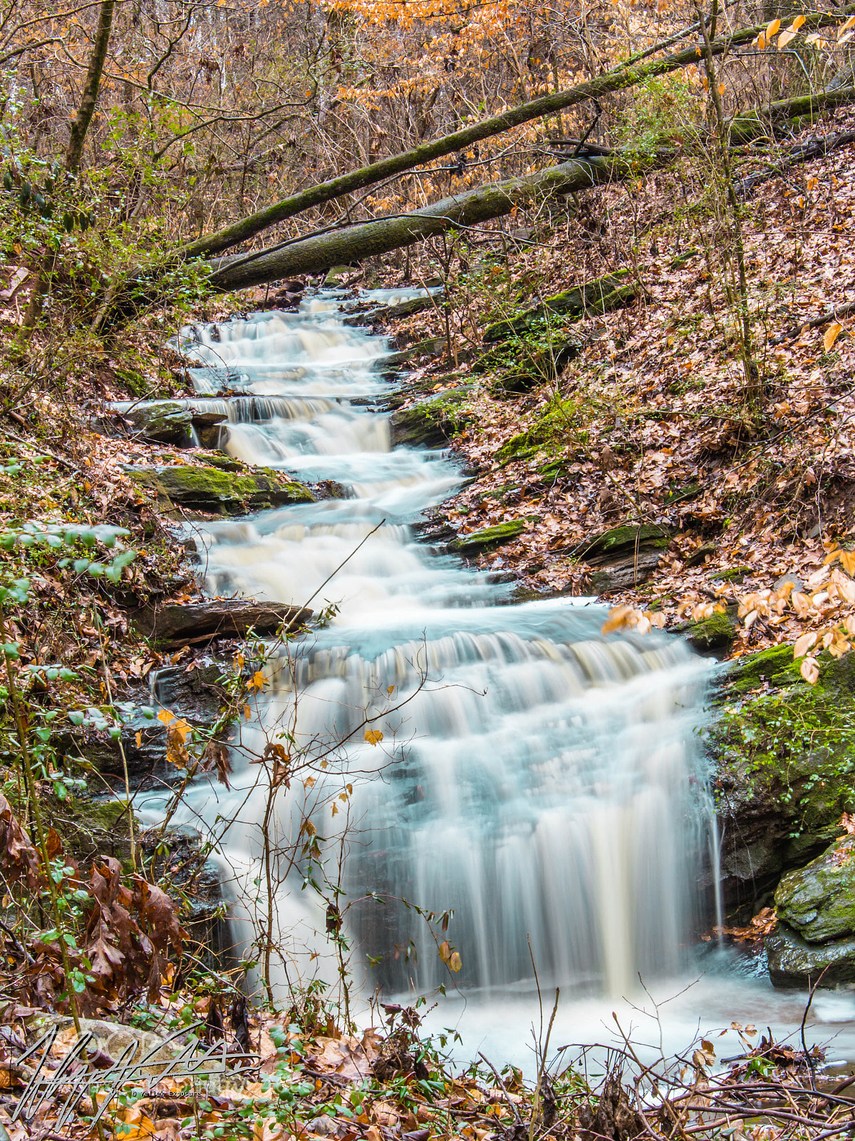 Canon EOS 100D (EOS Rebel SL1 / EOS Kiss X7) sample photo. Waterfalls in the backyard photography