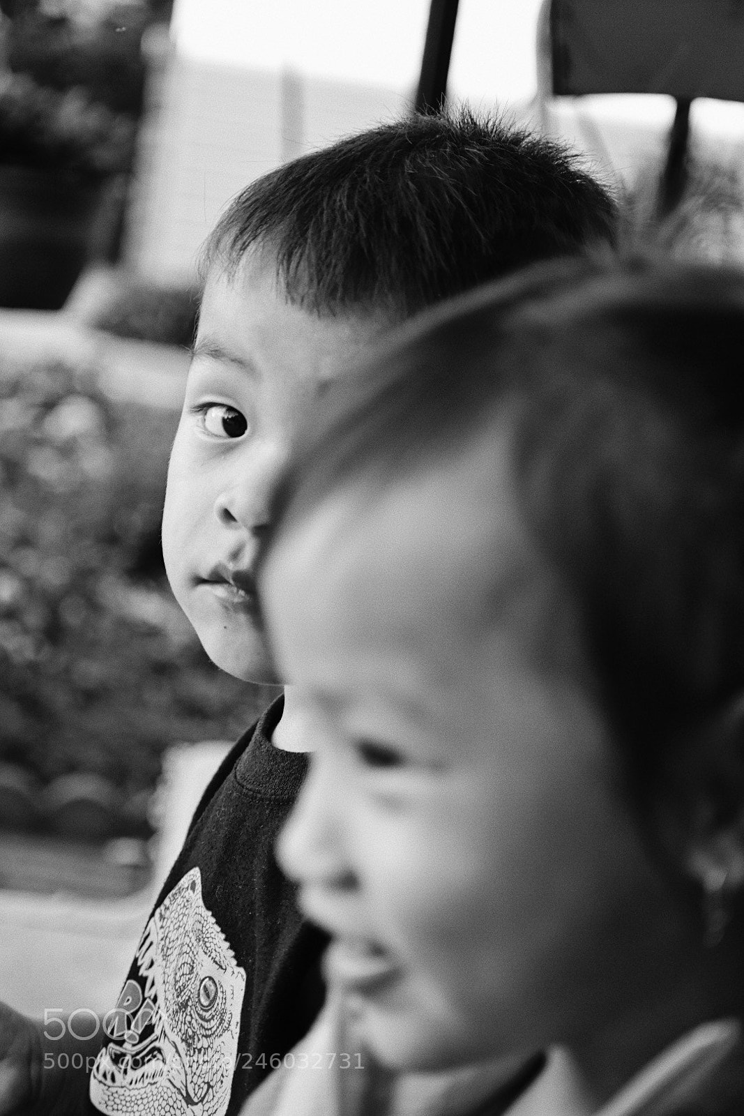 Nikon D3400 sample photo. Boy looking over photography