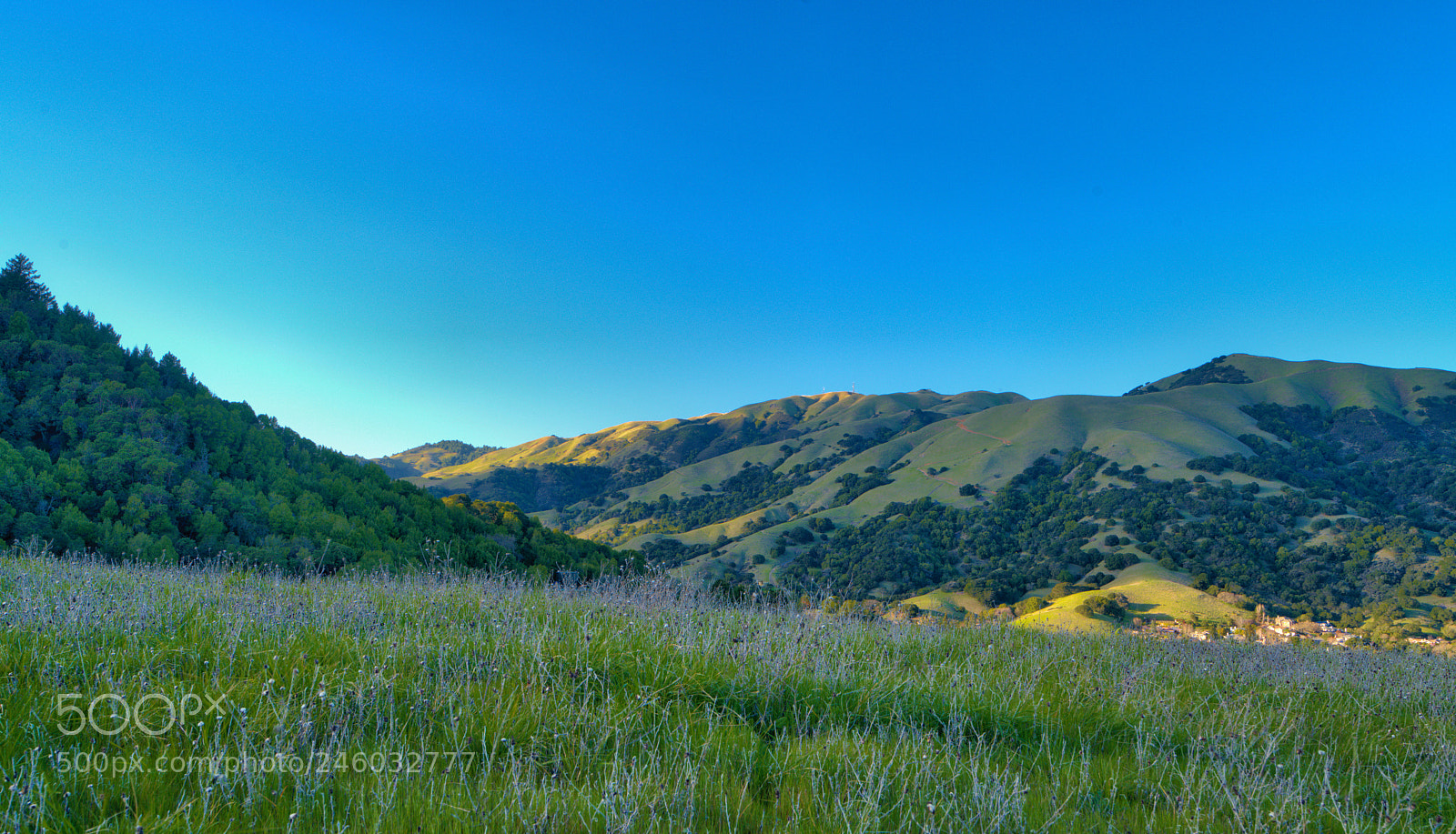Sony a7R II sample photo. Deep shadows photography