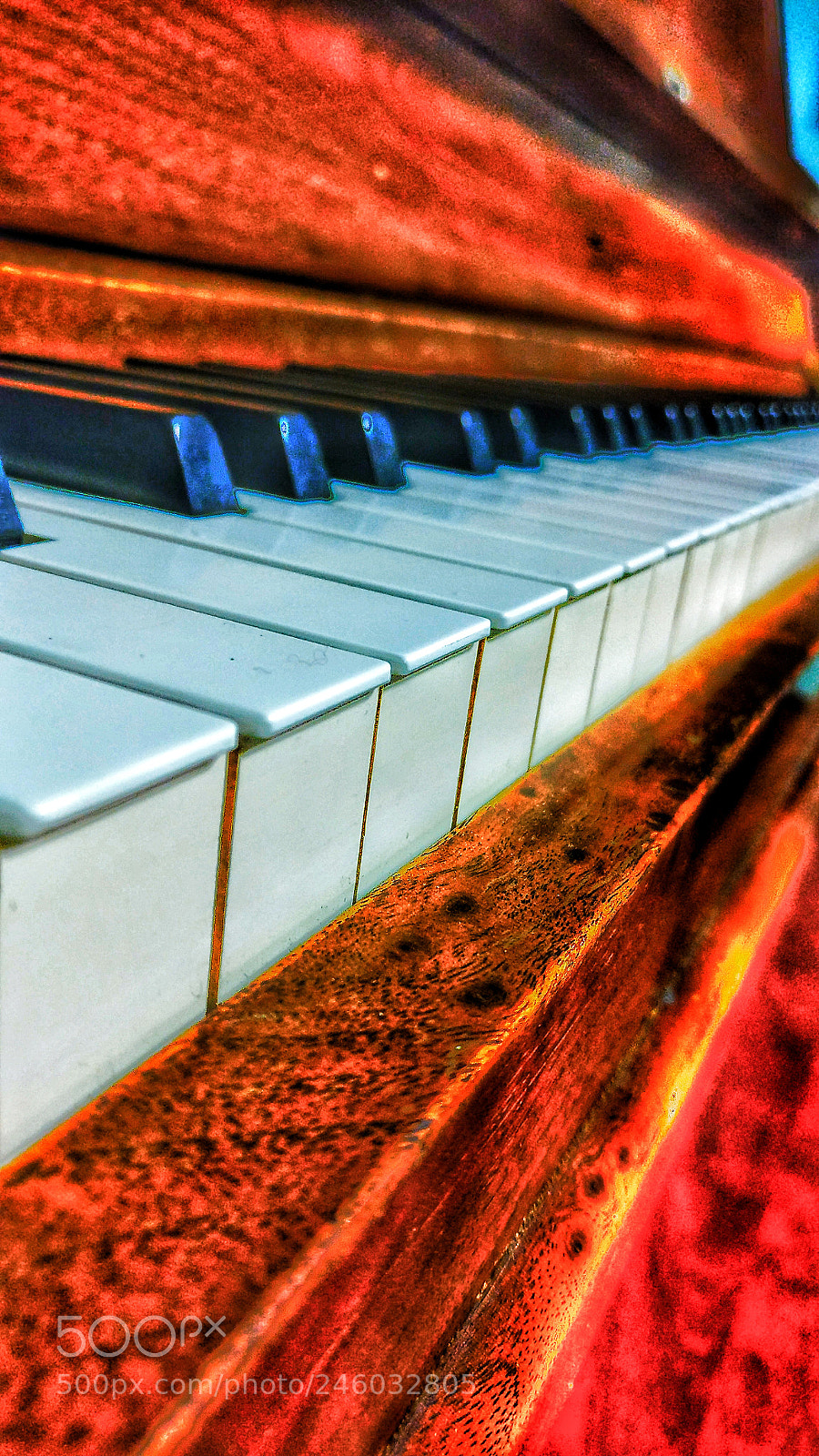 OnePlus A3000 sample photo. A hardy melody photography