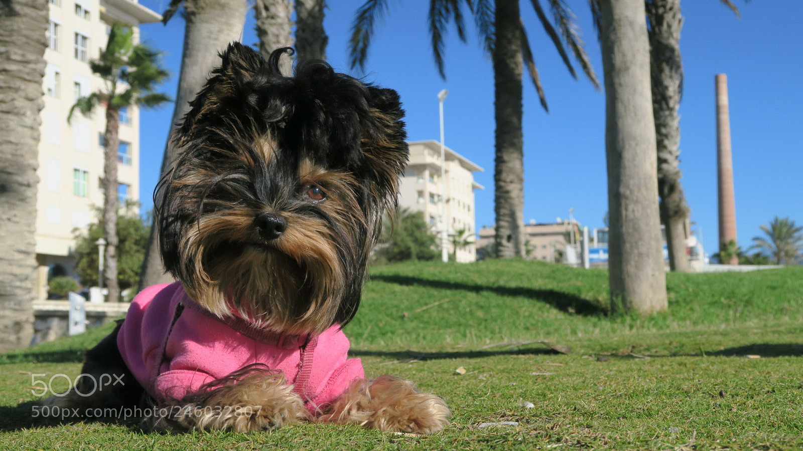 Canon PowerShot G7 X sample photo. Mi pequeña dannah photography