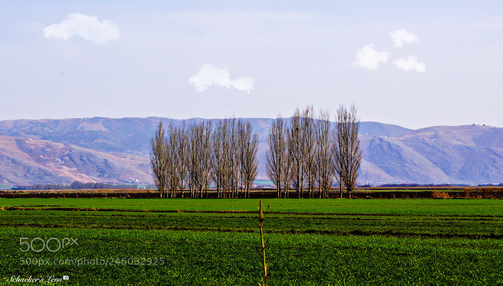 Sony SLT-A65 (SLT-A65V) sample photo. سهل البقاع - لبنان photography