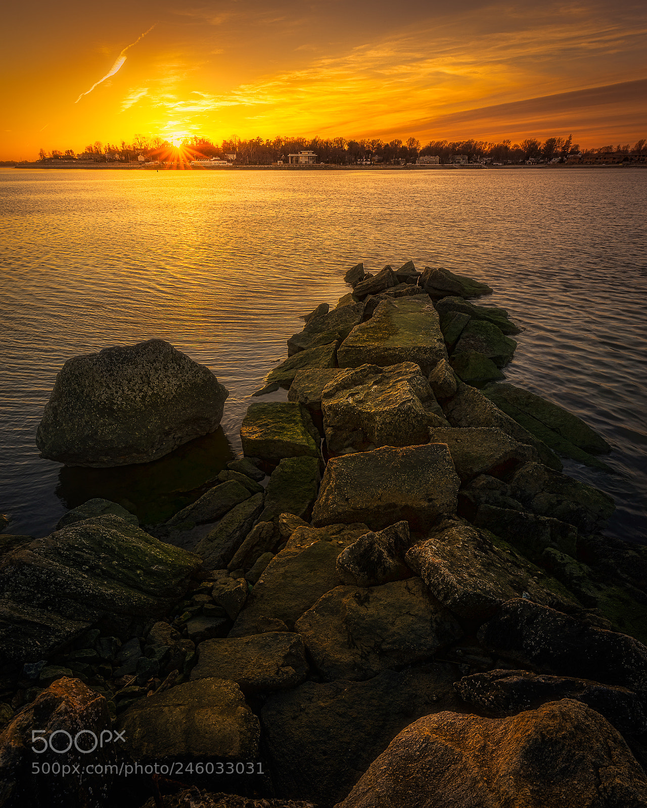 Sony a7 sample photo. Sunset at the park photography