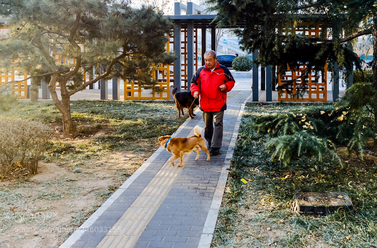 Fujifilm X100F sample photo. Untitled photography