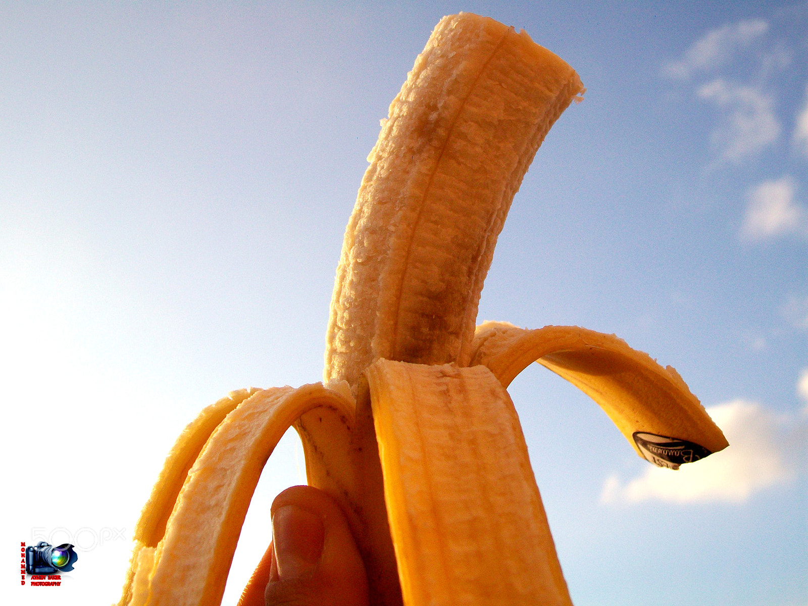Kodak EASYSHARE C1013 DIGITAL CAMERA sample photo. Banana photography