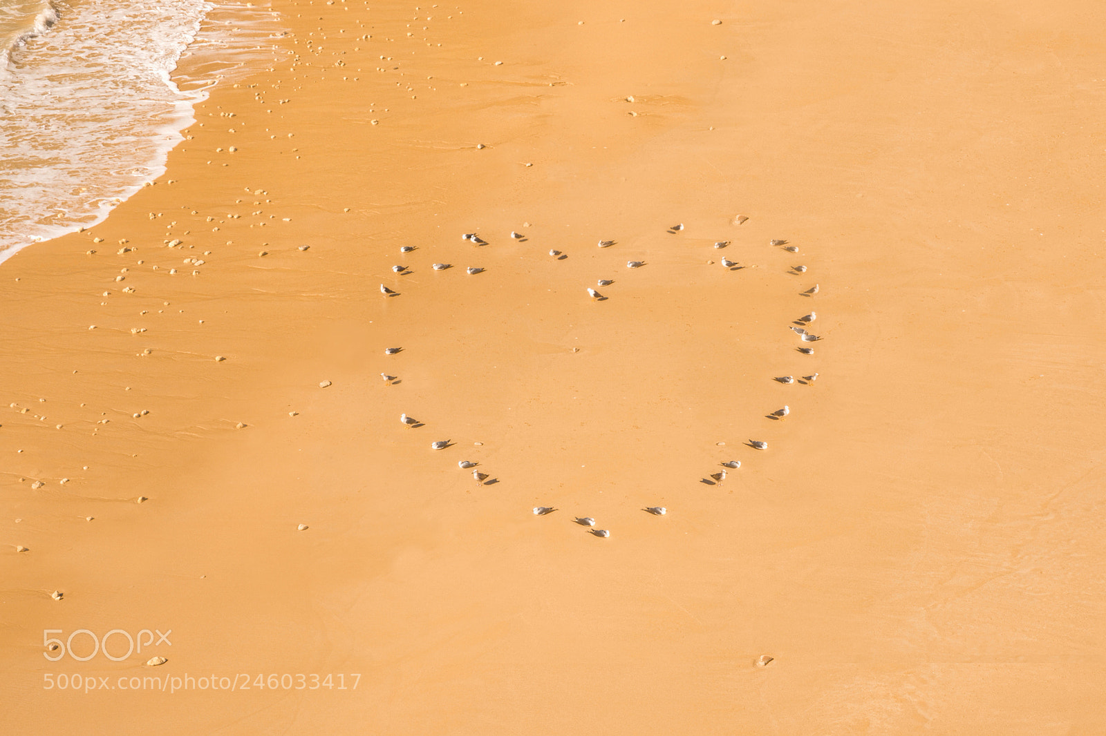 Olympus OM-D E-M5 sample photo. Happy valentine's day ! photography
