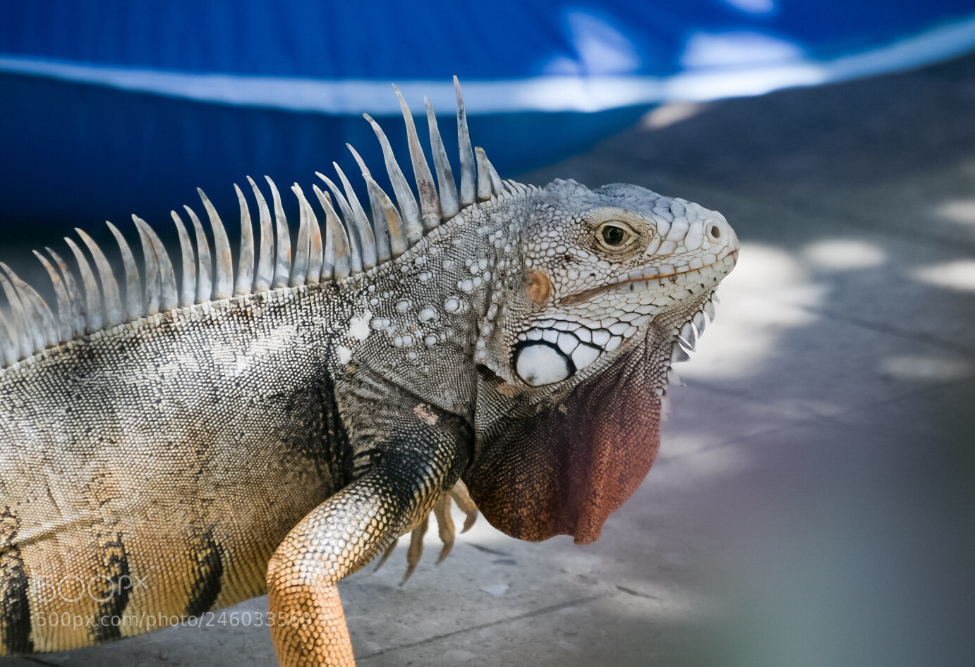 Nikon D7500 sample photo. Untitled photography