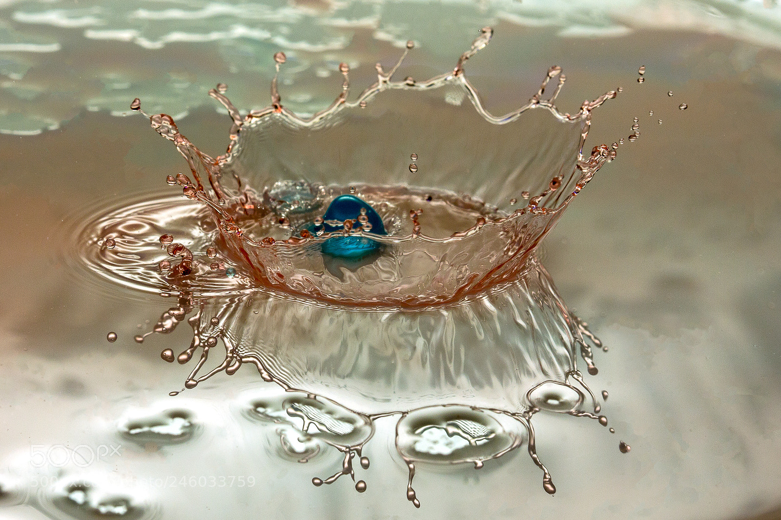 Canon EOS 60D sample photo. Splash 2 photography