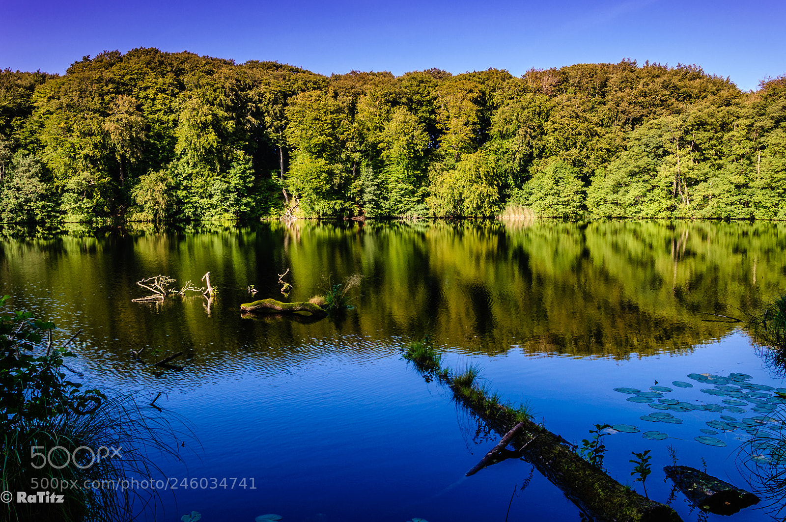 Nikon D90 sample photo. Silent lake photography