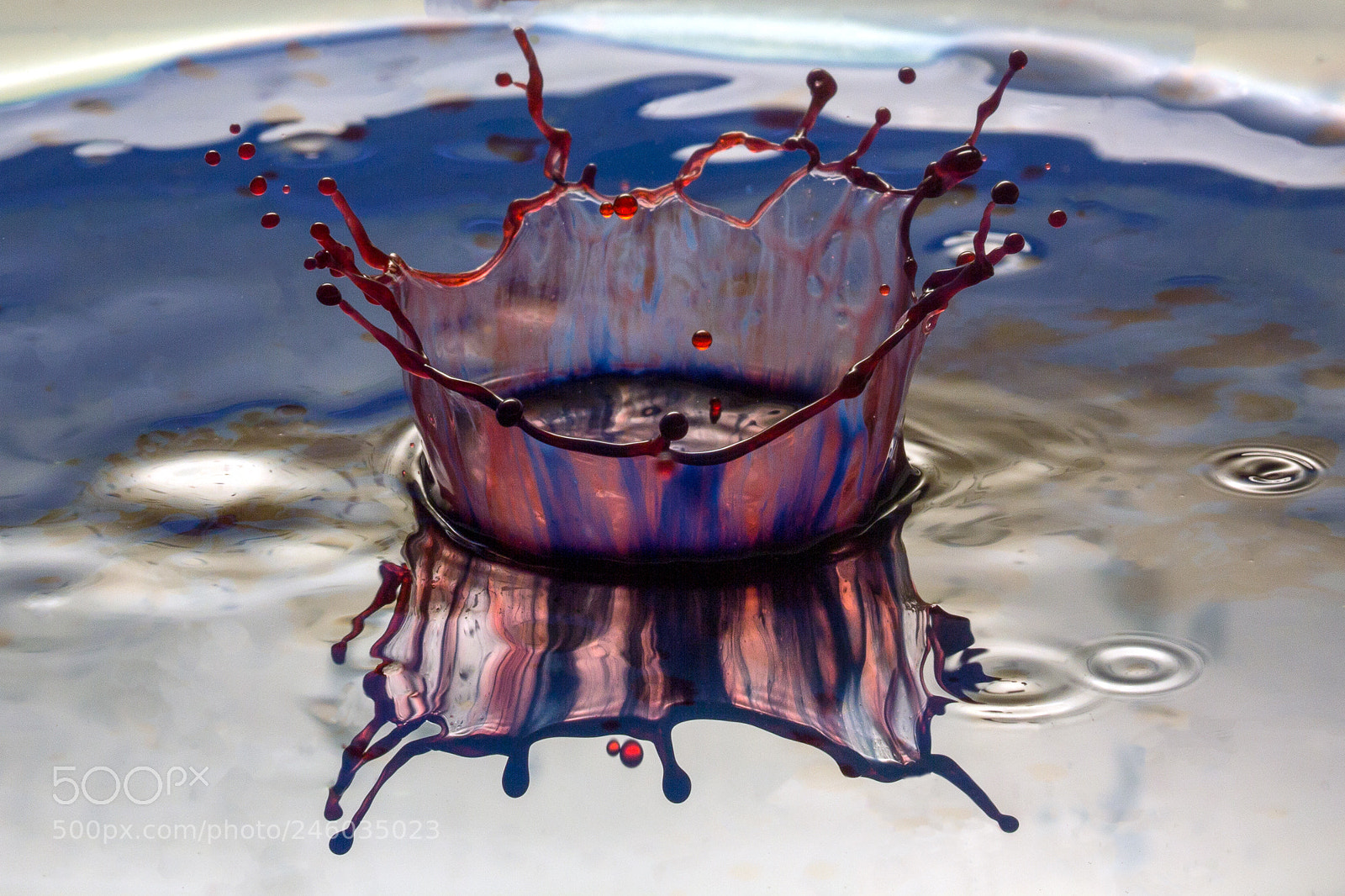 Canon EOS 60D sample photo. Blue and red photography